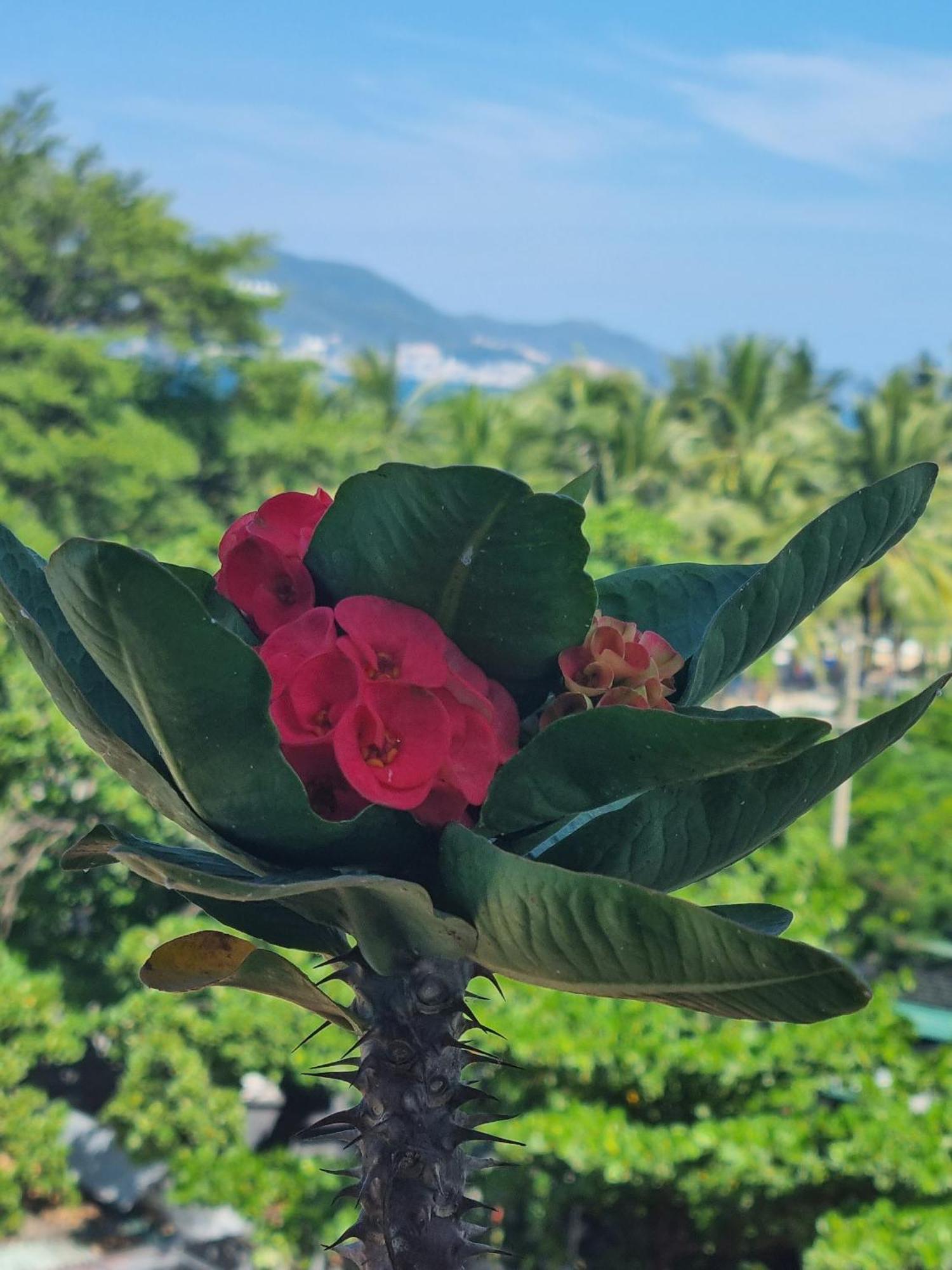 Pho Bien Hotel Nha Trang Exterior photo